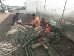 Babinsa 02/Rindi Umalulu Laksanakan Komsos Dan Silaturrahmi Dengan Petani Semangka