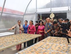 Kawasan Produksi Kelompok Wanita Tani (KWT) Bedetan Perancak Diresmikan