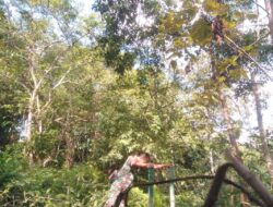Babinsa Rindi Umalulu Melakukan Pengecekan Kondisi Pompa Hidram Di Wilayah Binaan