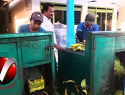 Lama Menghilang, Tiba-Tiba Jurnalis Ini Menjadi Pengusaha Daun Emas Di Era Digital 2023