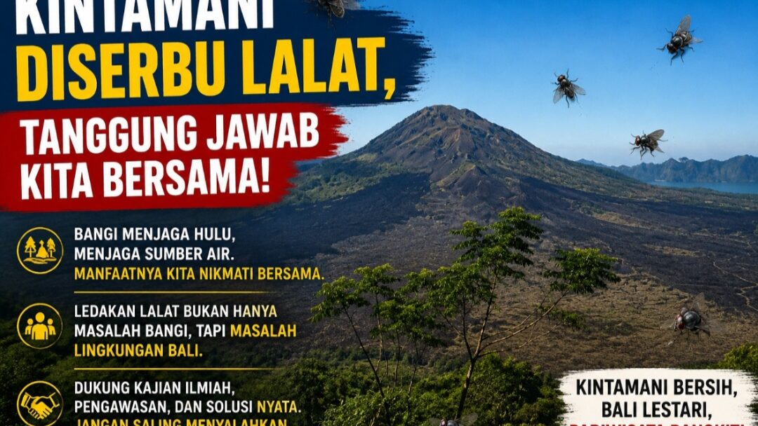 Kintamani Diserbu Lalat, Bangli Minta Persoalan Tak Dibebankan ke Daerah Saja