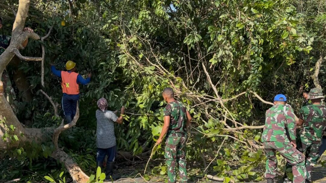 Pohon Tumbang Tutup Jalan Denpasar–Gilimanuk, Prajurit Yonif TP 928/BSY Gerak Cepat Buka Akses