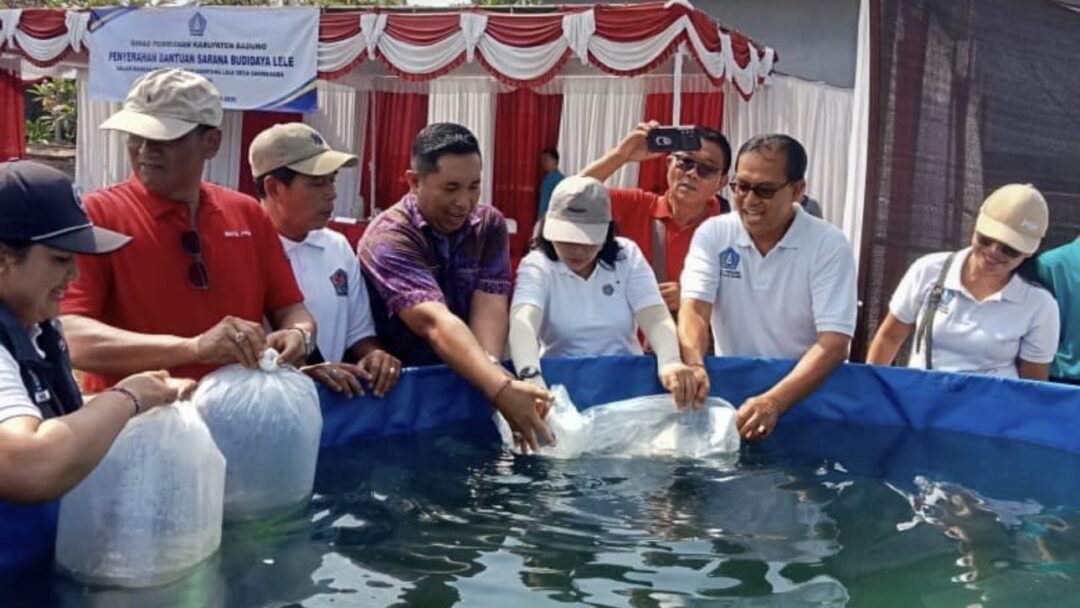 Pemkab Badung Kembangkan Kampung Lele Darmasaba untuk Perkuat Ekonomi dan Gizi Anak